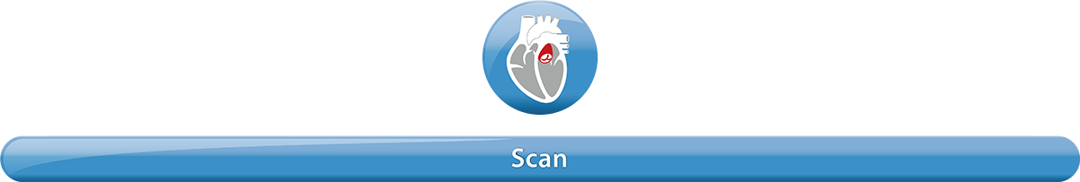 04_Cardiology_web_Sructural_0930